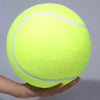 Giant Inflatable Tennis Ball for Dogs