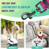 Dual Dog Leash with Shock-Absorbing Bungee