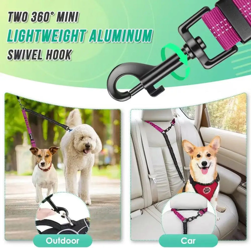 Dual Dog Leash with Shock-Absorbing Bungee
