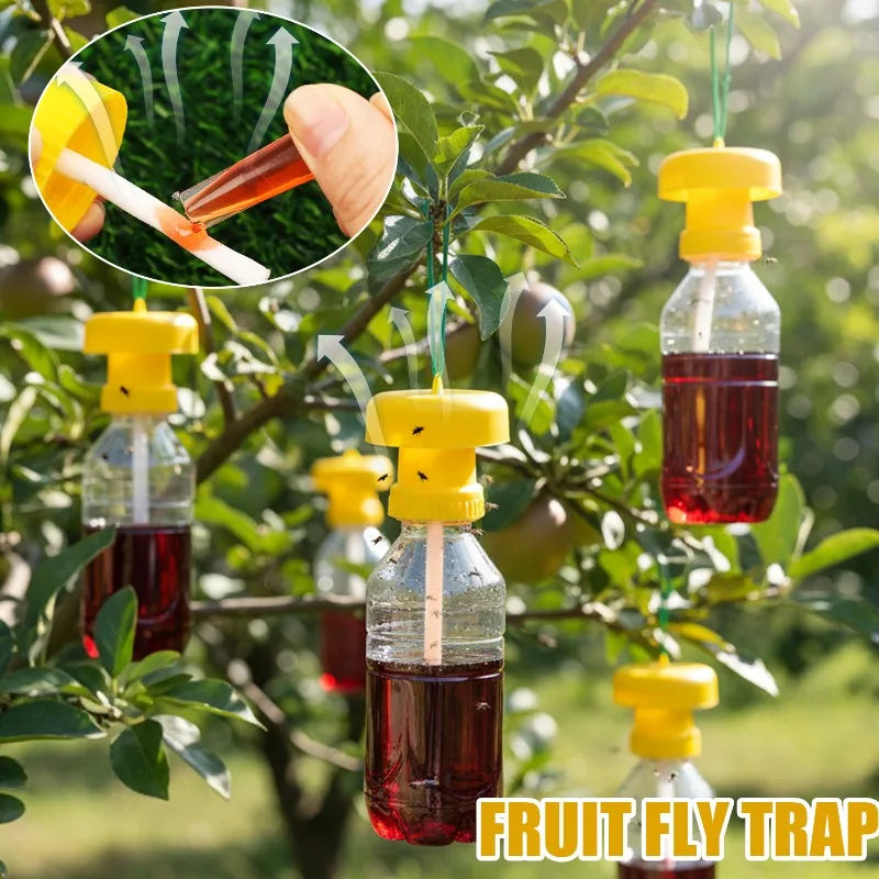 Yellow Plastic Fruit Fly Trap for Garden and Orchard