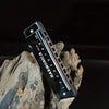 10-Hole Diatonic Harmonica in C with Protective Case