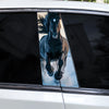 A close-up view through a car window showing a black horse with white mane and tail against a cloudy sky.