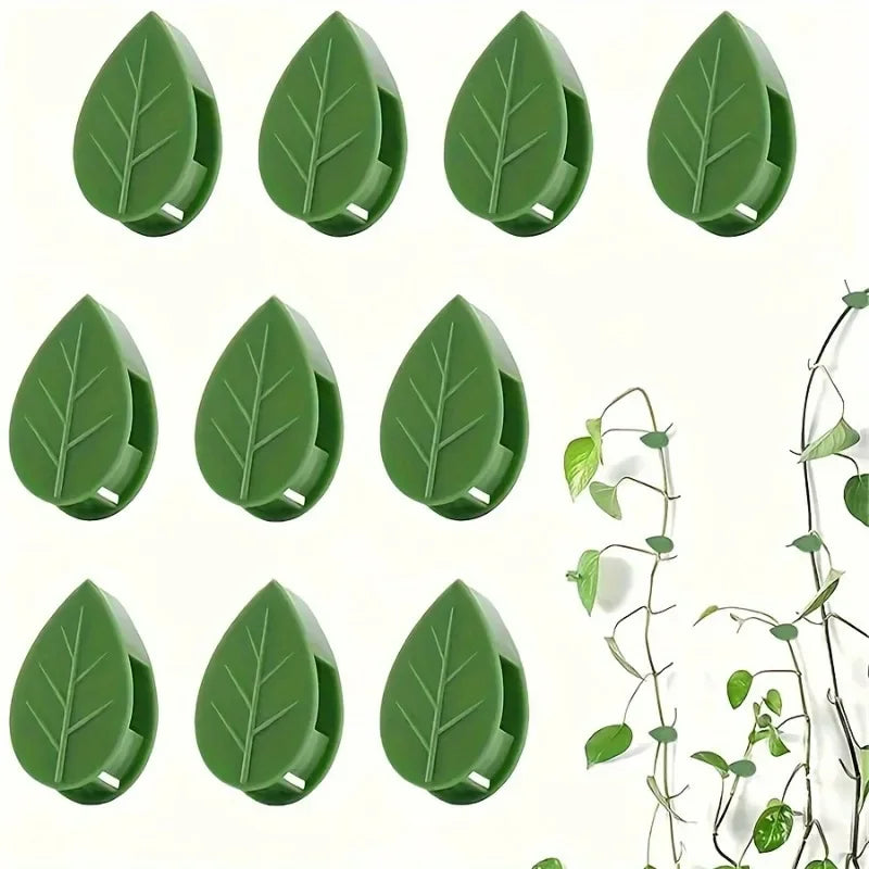 Green invisible plant wall clips designed to hold climbing vines.