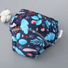 Cotton Toddler Training Pants (Reusable, Pack of Options)