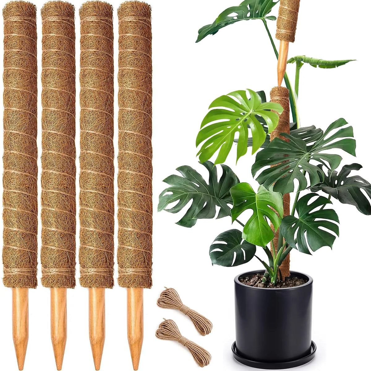 Stackable Natural Plant Support Poles