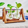 Tabletop Glass Planter Propagation Station with Wooden Rack