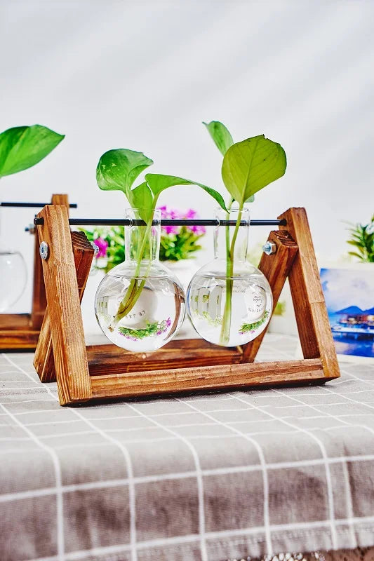 Tabletop Glass Planter Propagation Station with Wooden Rack