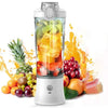 Portable Electric Fruit Juicer Blender