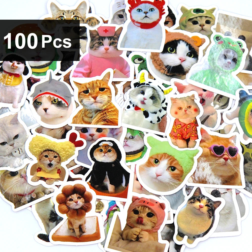 Funny Cat Sticker Pack for Laptops, Water Bottles & More