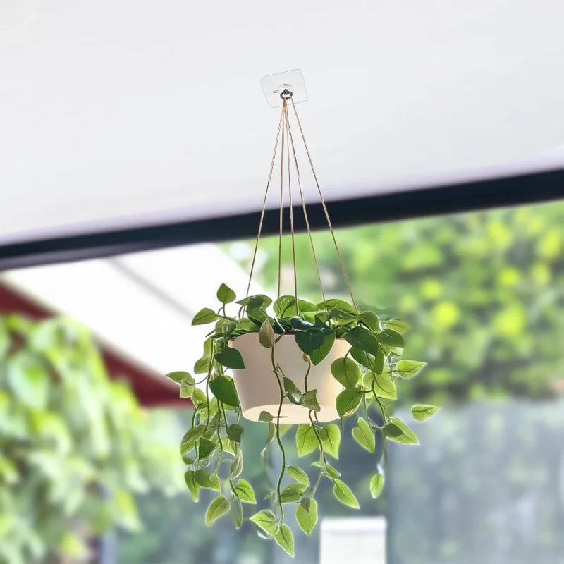 A potted green plant hangs from a wall hook against a bright, blurred outdoor background.