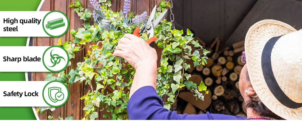 A person is using a stainless steel garden pruning shear to trim a leafy plant.