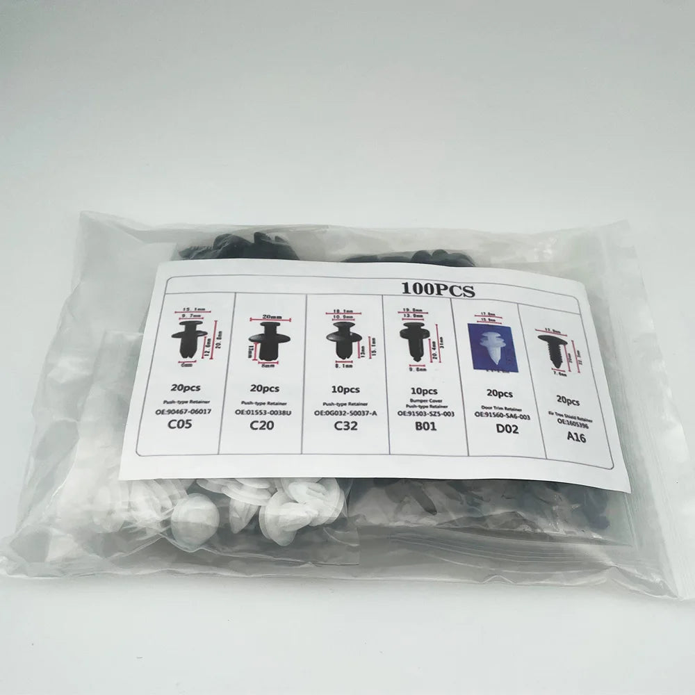 Assorted Plastic Push-Type Retainer Clips for Auto Body & Trim (100-Piece)