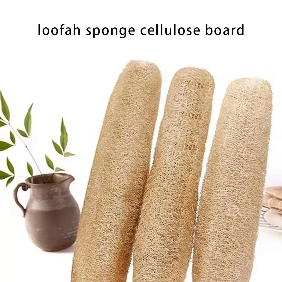 Three cylindrical loofah sponge cellulose boards in a natural beige color