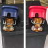 A pair of quick-release car battery terminal connectors shown in blue and red plastic housings.