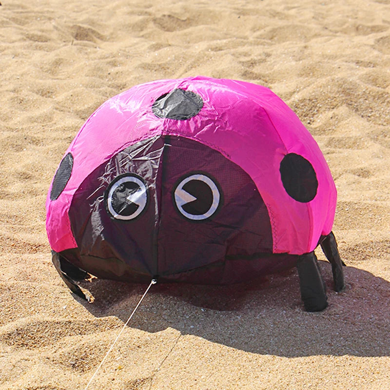 Ladybird Ground Kite for Outdoor Family Fun