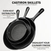 Pre-Seasoned Cast Iron Skillet