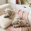 Scottish Highland Cow Plush Toy