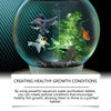Aquarium Water Purifying Tablets for Clear, Healthy Tanks