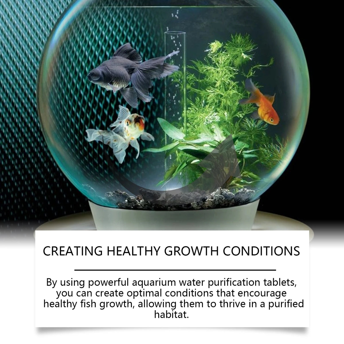 Aquarium Water Purifying Tablets for Clear, Healthy Tanks