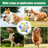 Interactive Auto-Bouncing Dog Ball with Lights & Sound