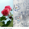 Close-up of a vibrant pink peony flower next to a sheet of silver, iridescent tulip privacy window film.