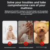 Image showing a baby and a dog, illustrating the need for a waterproof mattress protector.