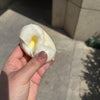 Crunchy Tofu Stress Ball