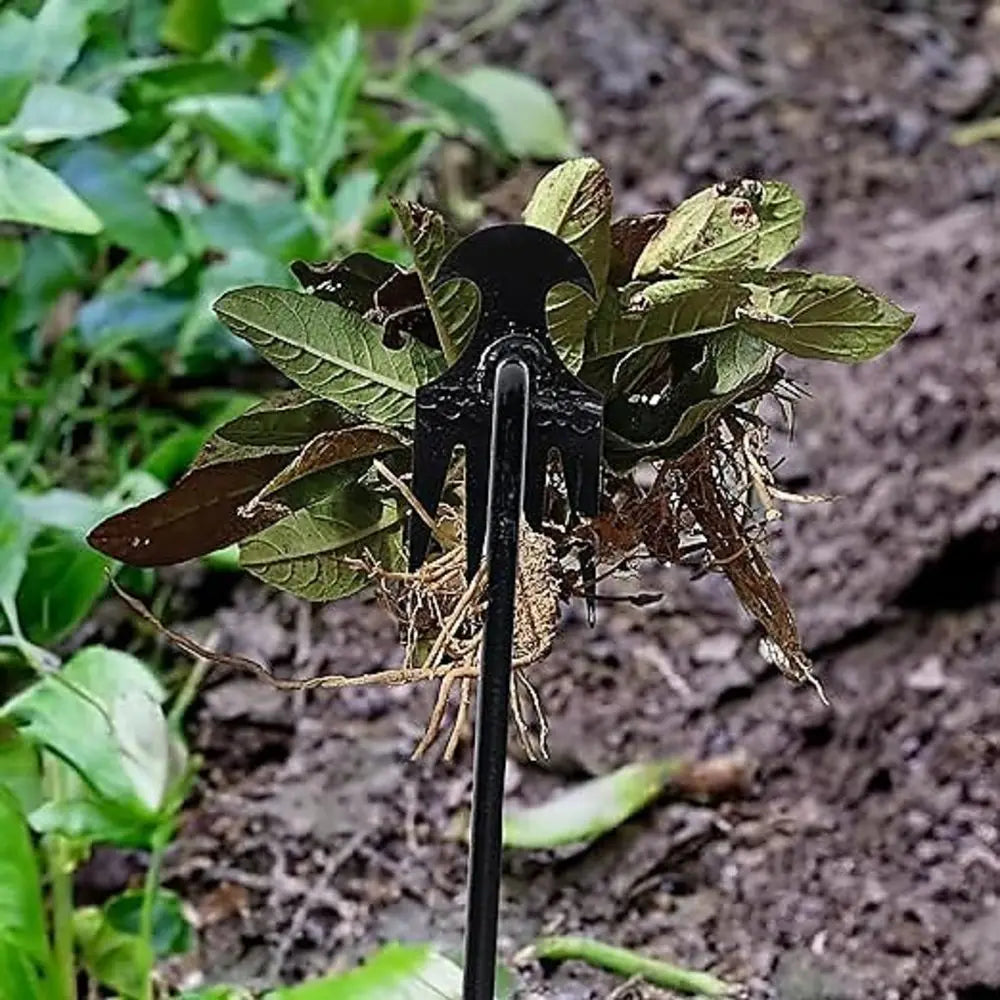 A black 4-tine steel hand weeder for precision gardening is shown inserted into soil next to green leaves.