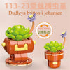 DIY Succulent Plant Building Block Bouquet