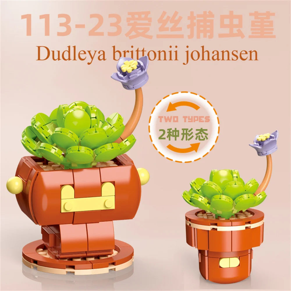 DIY Succulent Plant Building Block Bouquet