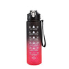 Motivational Time-Marker Water Bottle with Straw