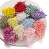 A collection of 400 pearl flower stamens in various colors including yellow, red, purple, pink, and white arranged on a plate