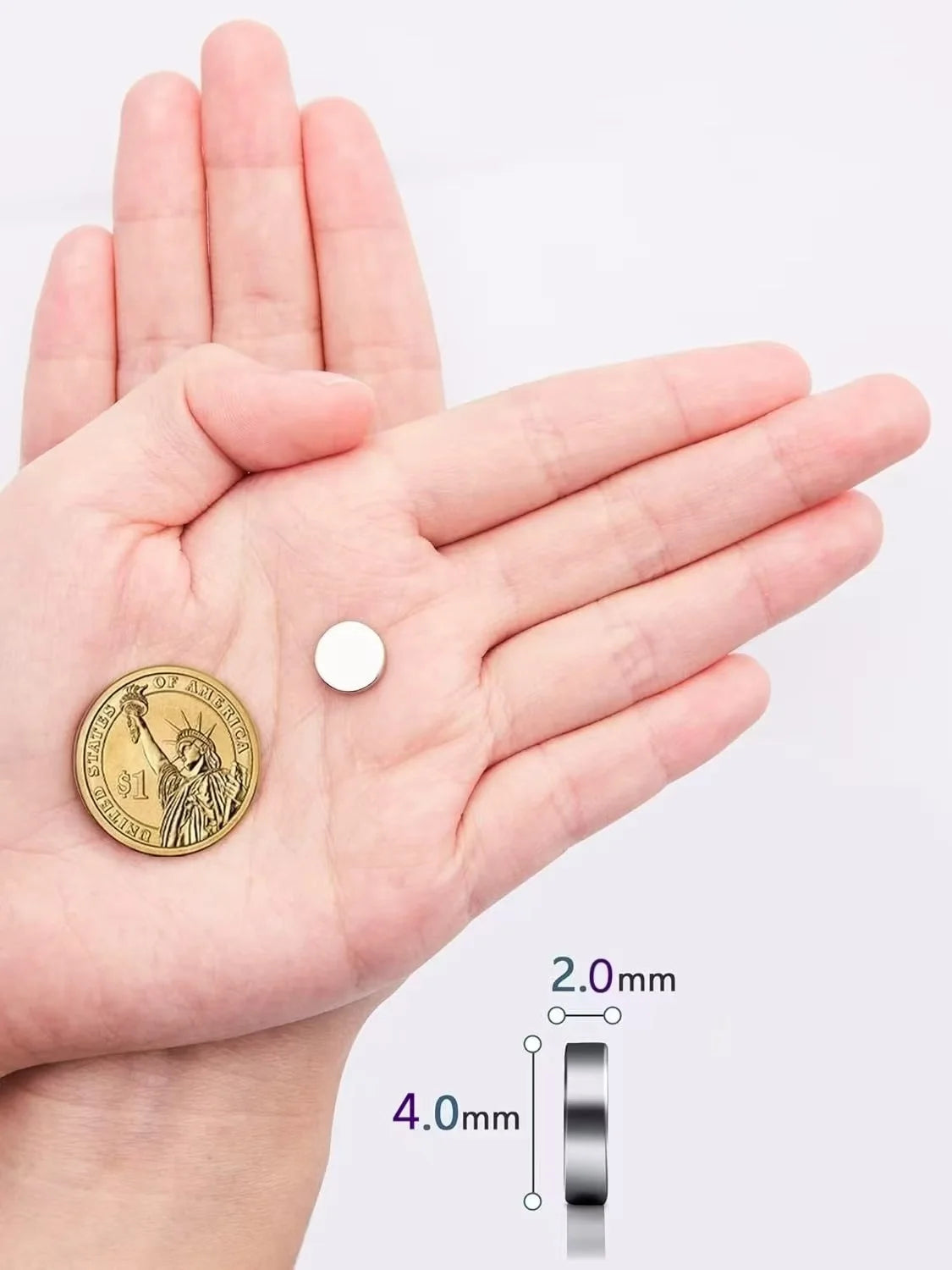 A hand holds a round gold coin magnet next to a measuring scale showing its dimensions.