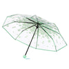 Clear Bloom Folding Umbrella with Floral Print