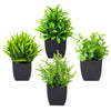 Realistic Mini Eucalyptus Potted Plant with Black Pot