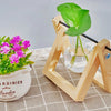 Tabletop Glass Planter Propagation Station with Wooden Rack