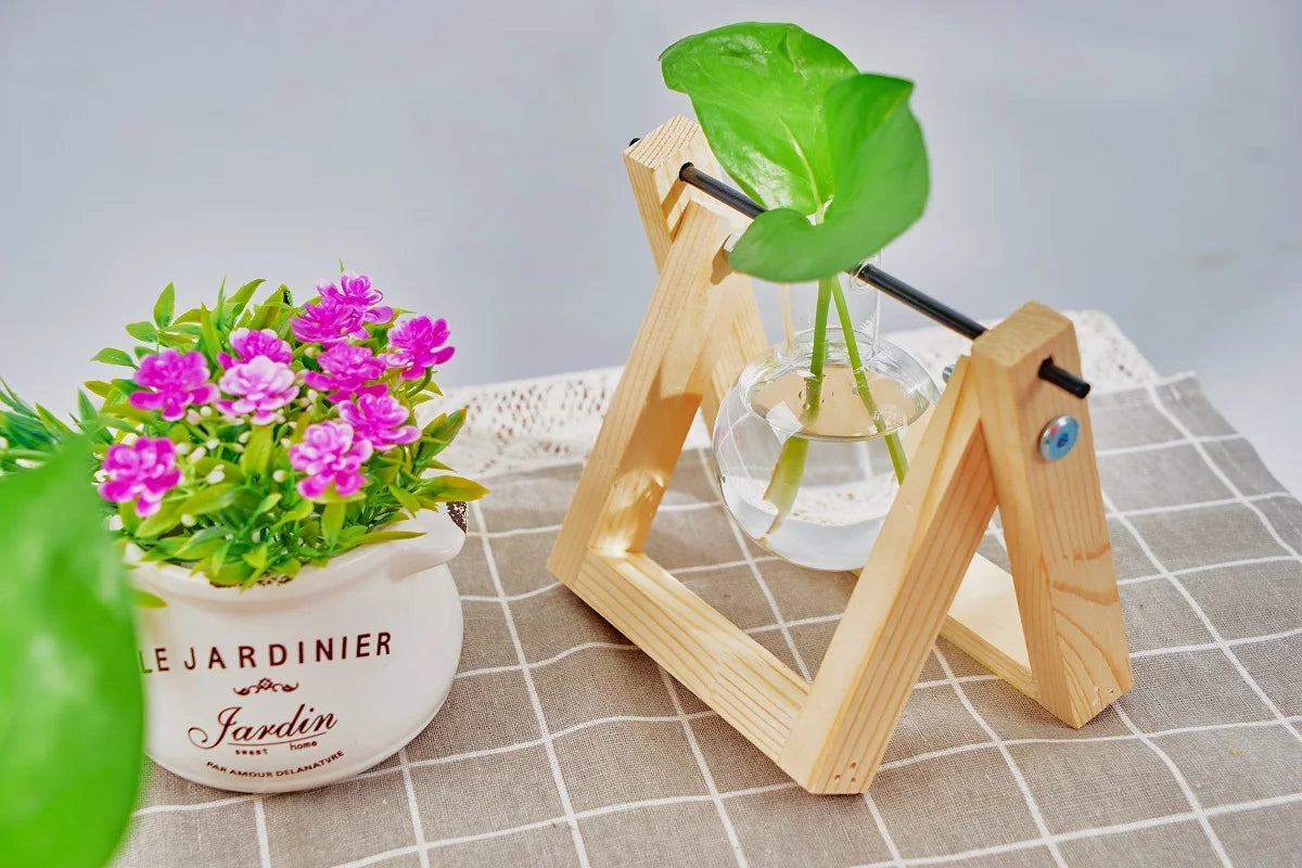 Tabletop Glass Planter Propagation Station with Wooden Rack