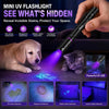 A hand holds a mini UV flashlight illuminating pet urine, ringworm, and hidden stains on a surface.