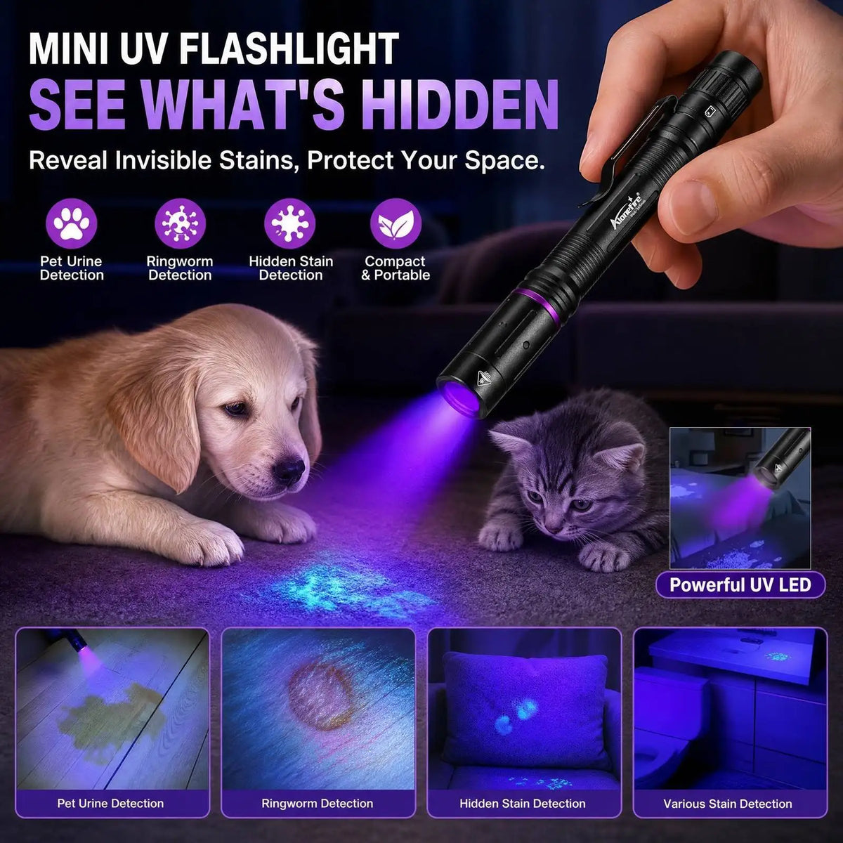 A hand holds a mini UV flashlight illuminating pet urine, ringworm, and hidden stains on a surface.