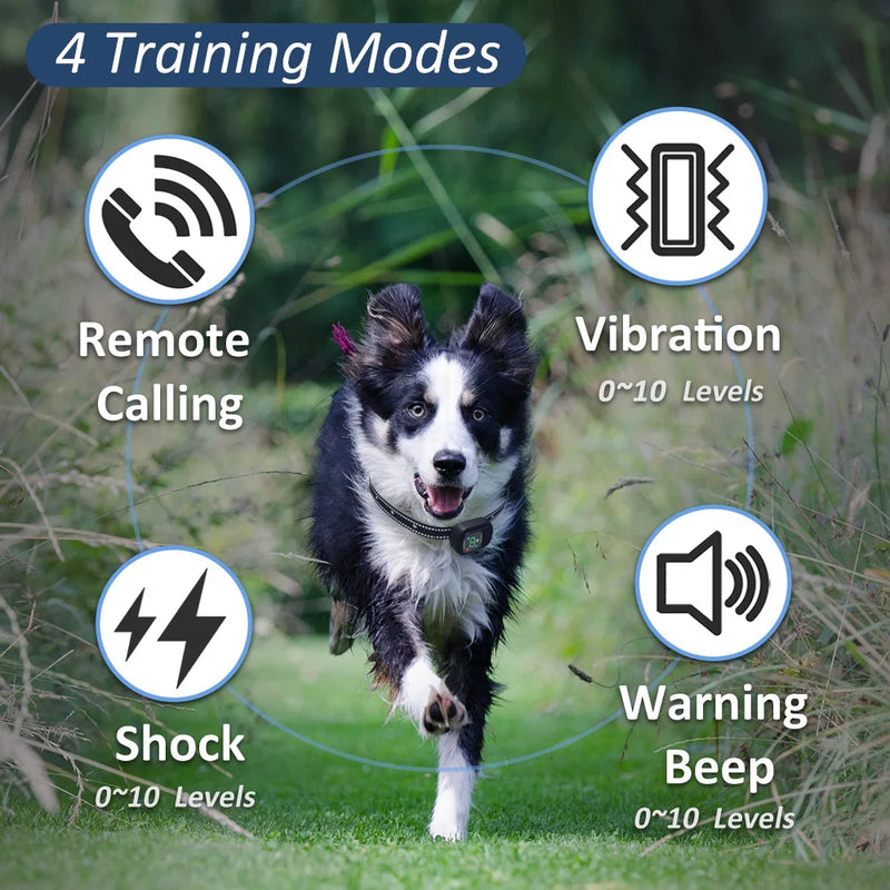 Waterproof Rechargeable Dog Training Collar with Remote