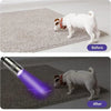 Before and after comparison showing a dog with a red collar under a portable UV flashlight