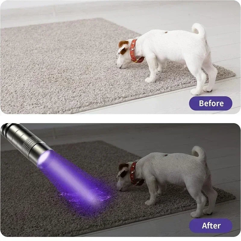 Before and after comparison showing a dog with a red collar under a portable UV flashlight