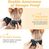 A cat wearing a black escape-proof harness and leash, demonstrating an adjustable hook and loop closure.