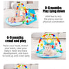 Musical Activity Gym with Kick-and-Play Piano for Babies