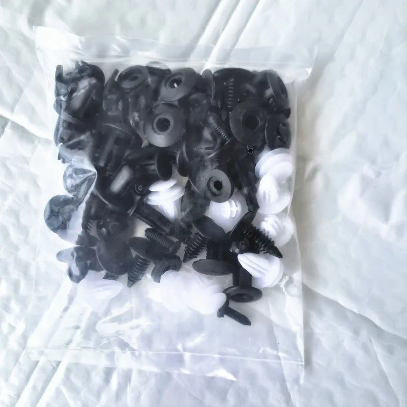 100-Piece Assorted Auto Trim Fastener Clip Kit