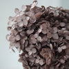 Preserved Hydrangea Flower Heads for Crafts and Home Decor