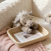 Scottish Highland Cow Plush Toy
