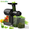 Cold Press Slow Masticating Juicer