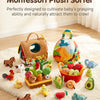 Montessori Carrot Pluck & Sort Sensory Toy Set