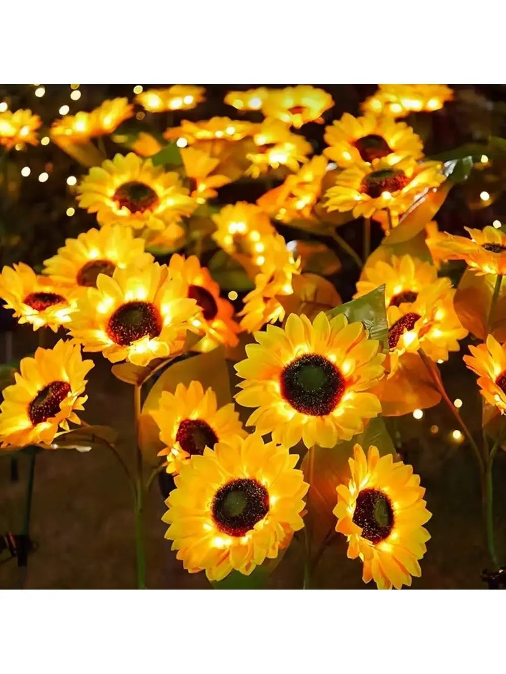 Close-up of bright yellow sunflower blooms illuminated by warm lights in a garden setting.